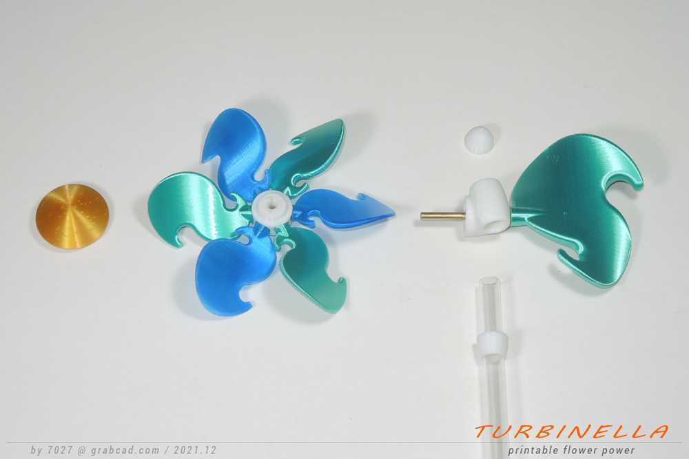 花的力量-TURBINELLA!
