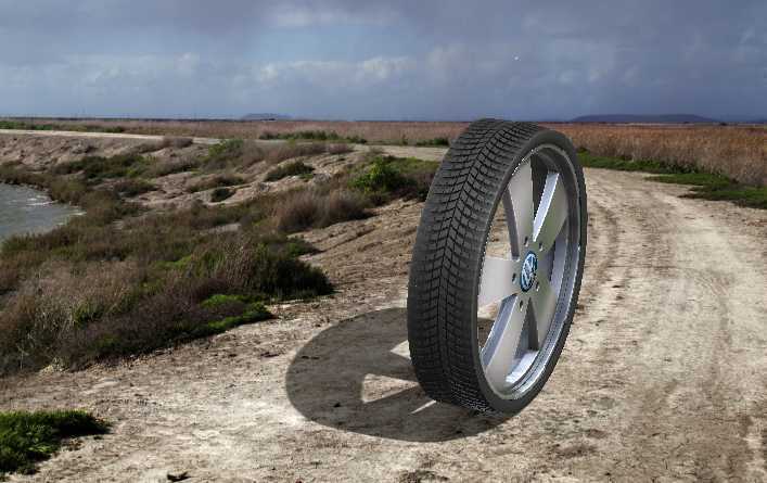 ����������B6���֣���̥��������