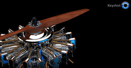 Jan Elg��Radial engine����Ⱦ��