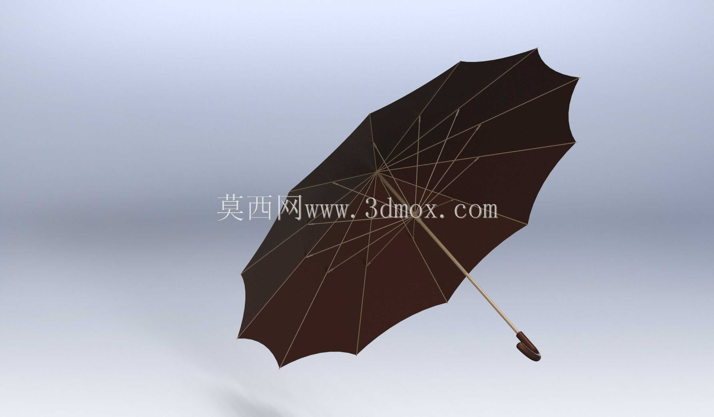 GUARDA CHUVA