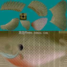3d��