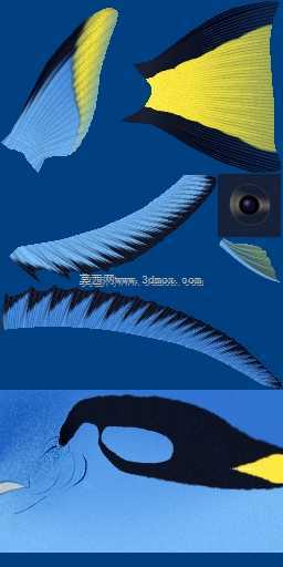 3d��