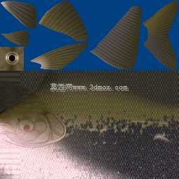 3d��