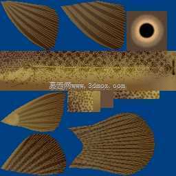 3d��