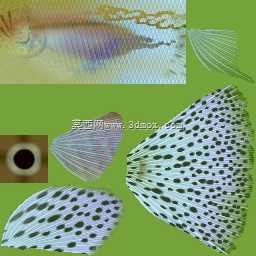 3d��