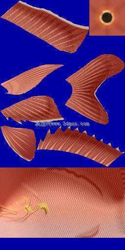 3d��