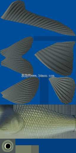 3d��