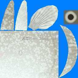 3d��
