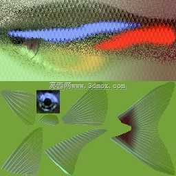 3d��