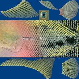 3d��