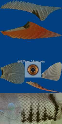 3d��