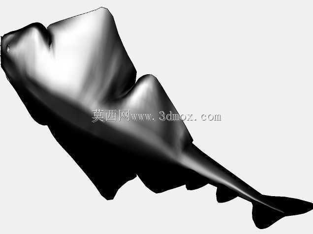 3d��