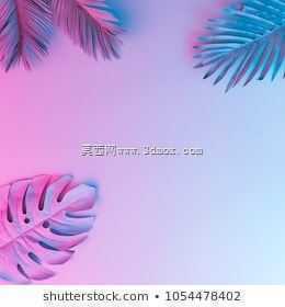 ����˹�Ƶ�