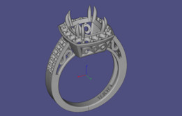 3d��ָ