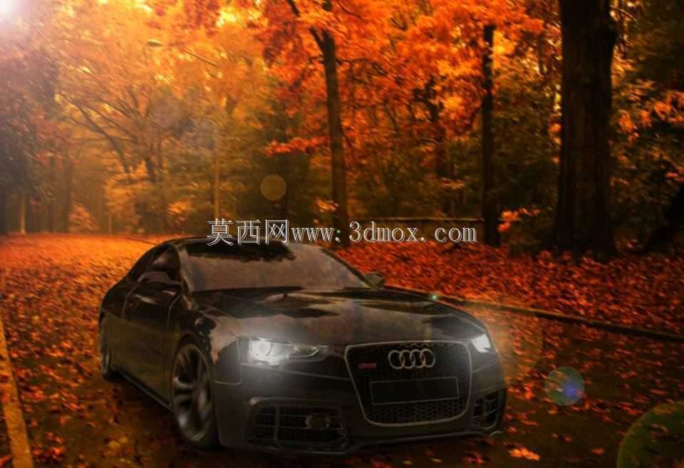 �µ�RS5