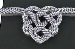 Tsplines�Ľ�