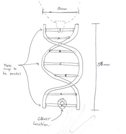 DNA������