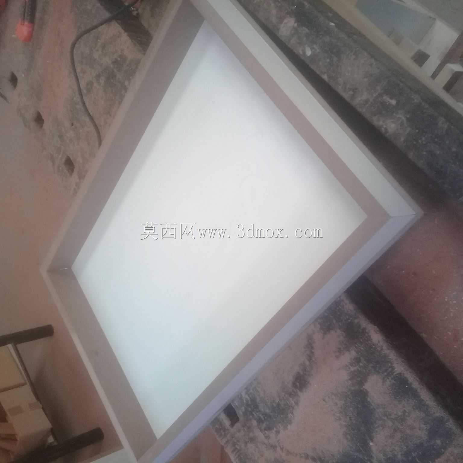 白蚁