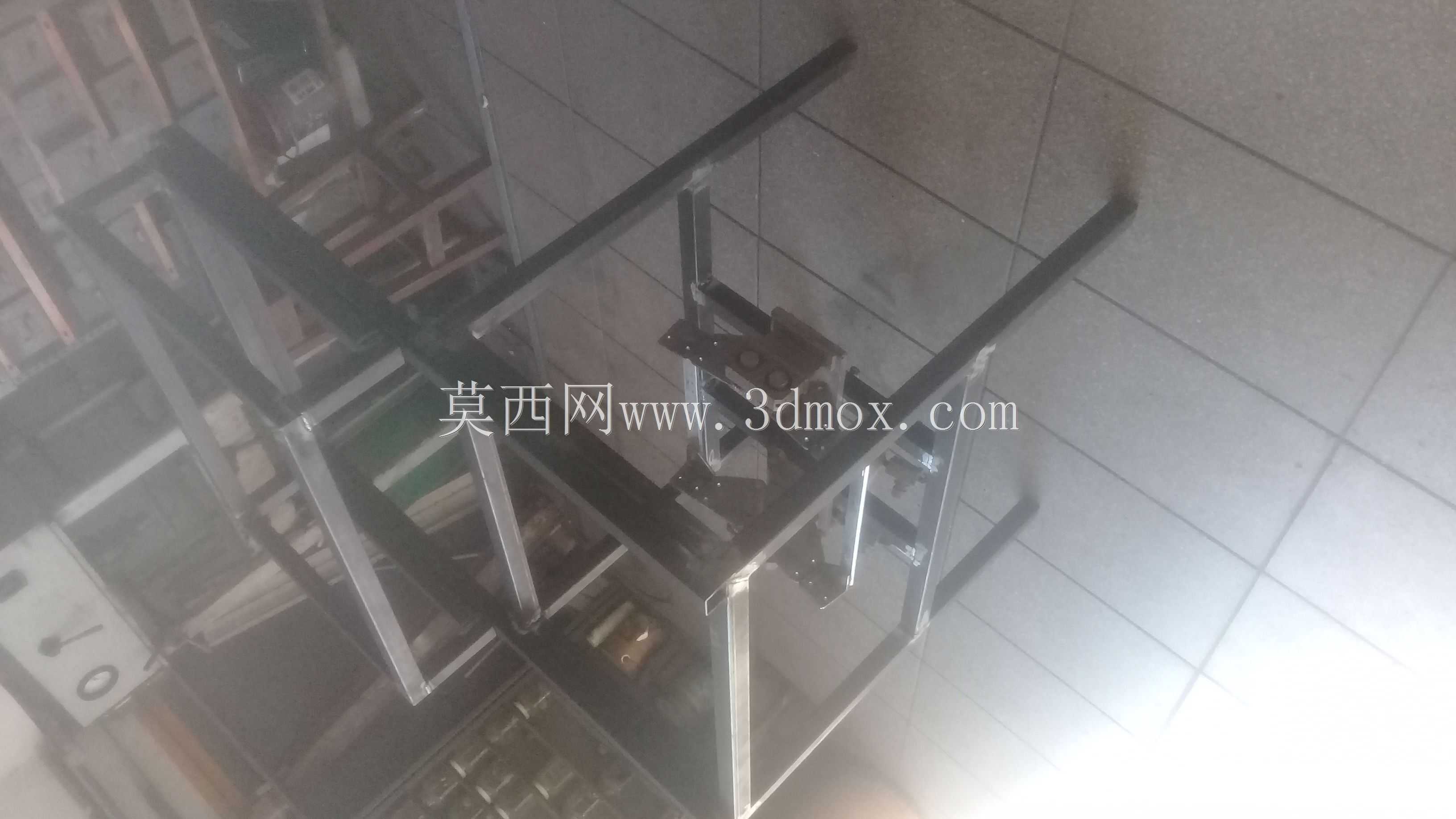 白蚁