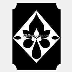 ����ͼ��-Cytus