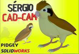 Pidgey Pok��mon S��r