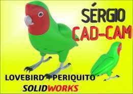 Lovebird Periquito-S