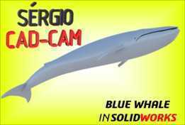 ����-S��rgio CAM CAD