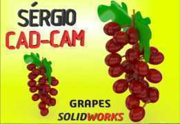 ����-uvas-S��rgio CA