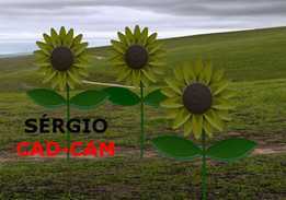 Sunflower-Girassol S