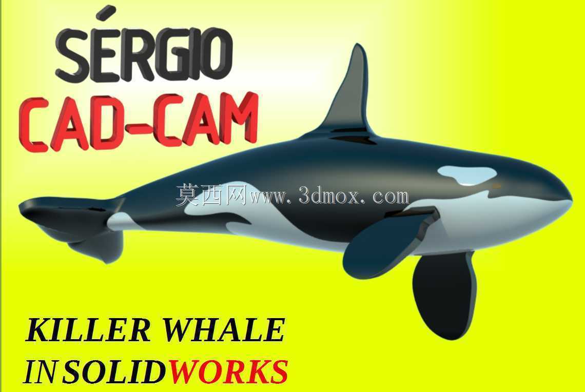 虎鲸-虎鲸-Sérgio CAD CAM