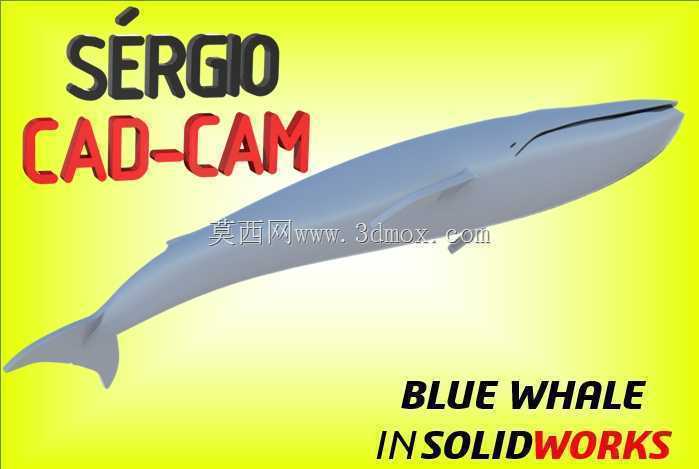 蓝鲸-Sérgio CAM CAD