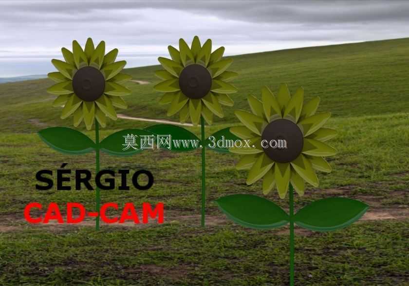 Sunflower-Girassol S��rgio CAD CAM