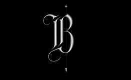 �Ҷ�װ����