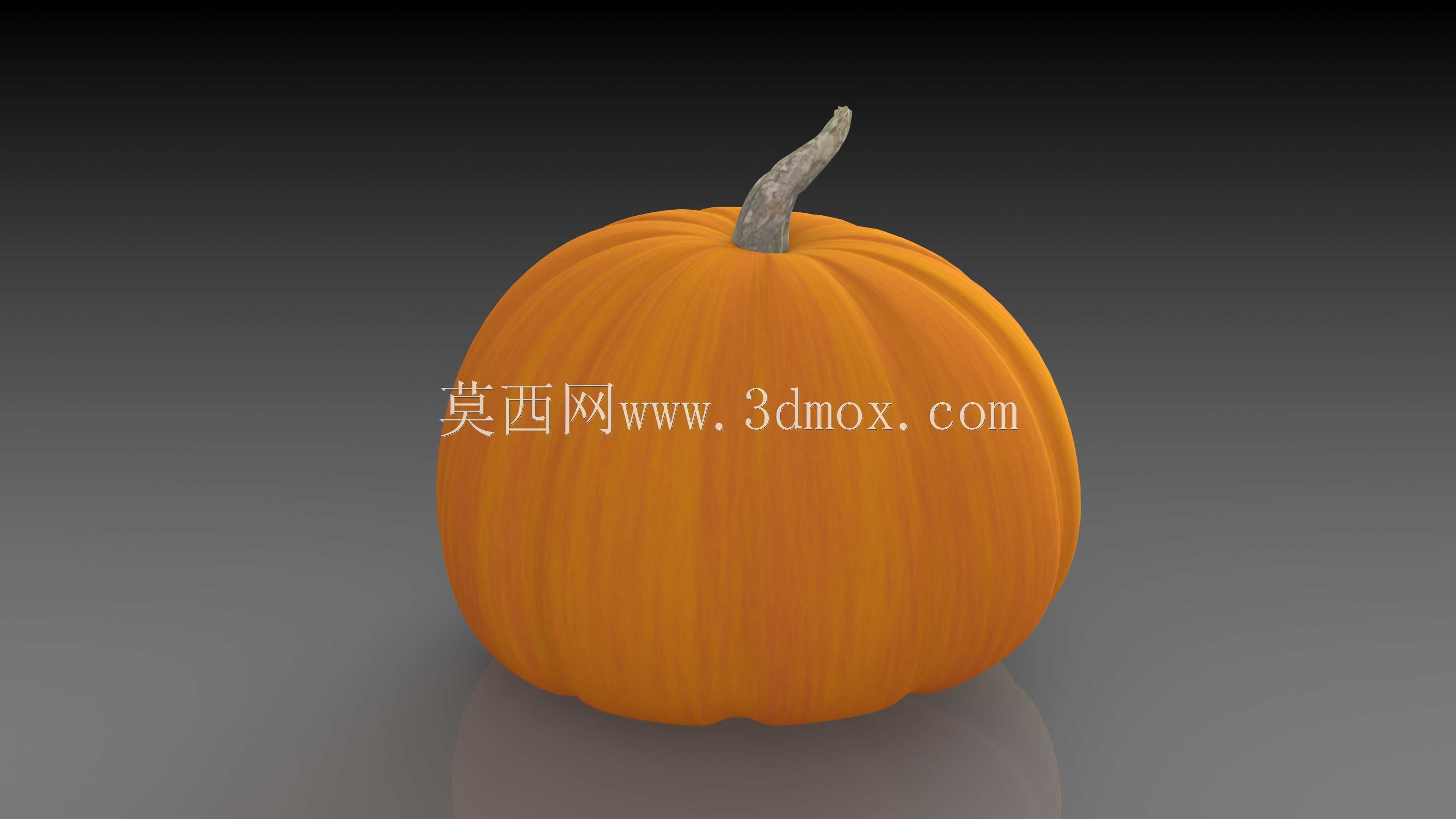 ѩ������ʥ��