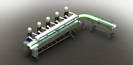 Linea transporte cajas输送机