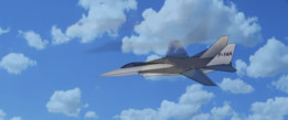��³��F-14��è