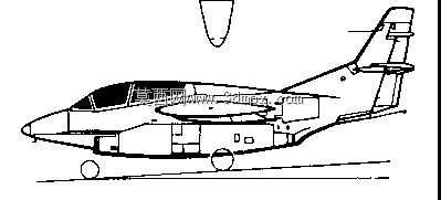 ����T-2��Ҷ��
