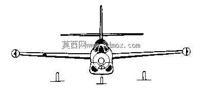 ����T-2��Ҷ��