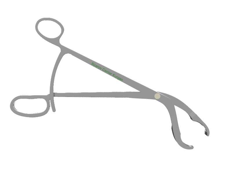 �Ǽ�