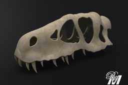 Tarbosaurus����/����
