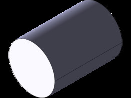 ds