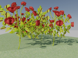 花