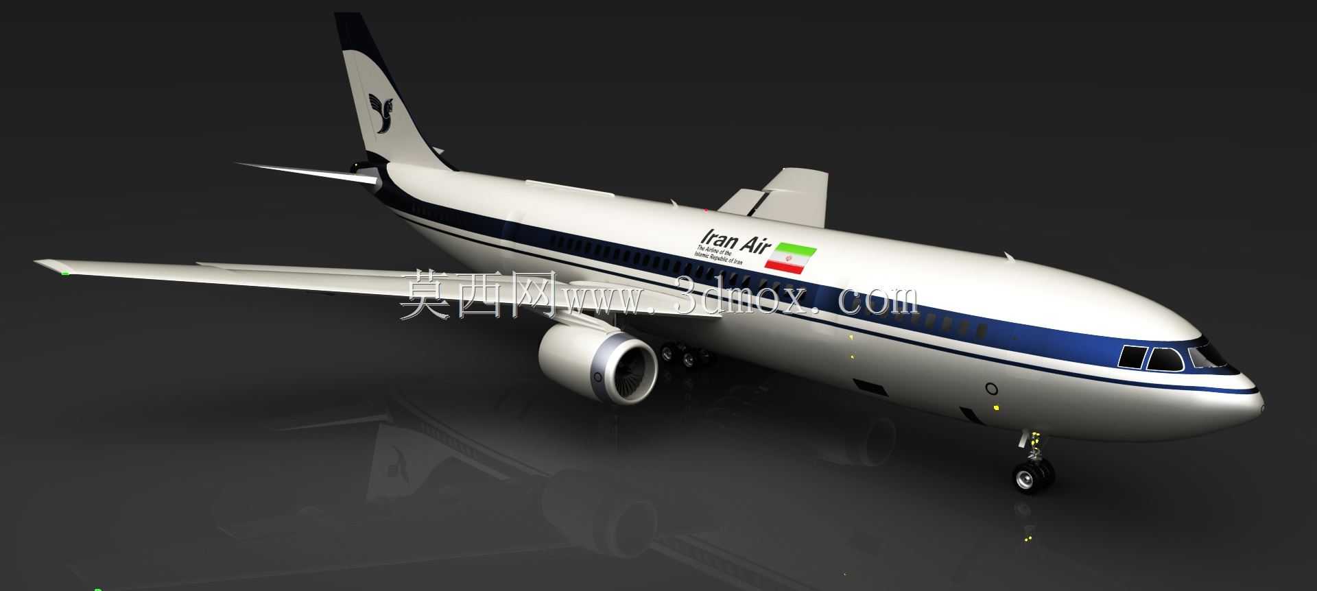 �տ�a300