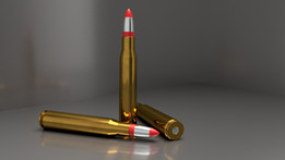 8 x 68 S��ҩ