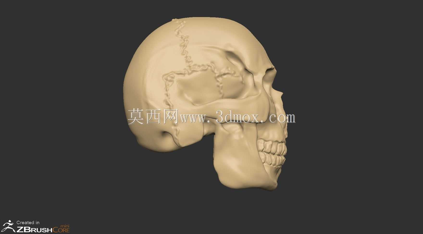 雕刻头骨