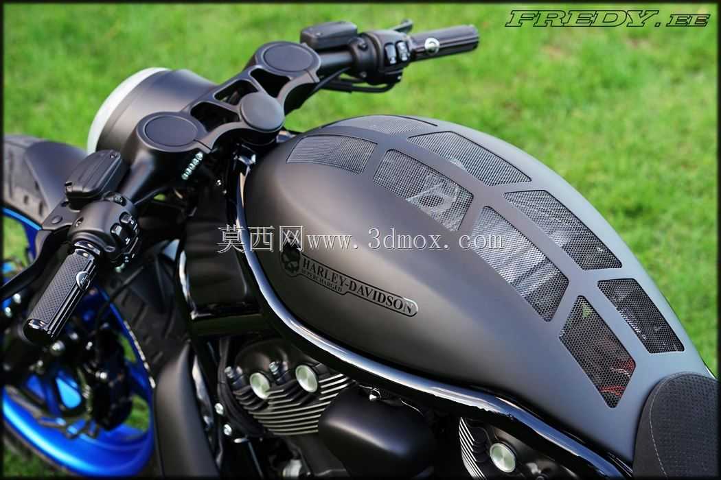 哈雷戴维森v杆