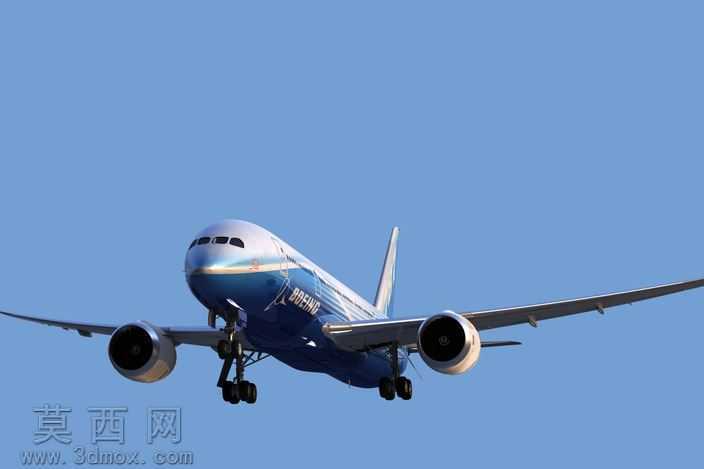 ����787-����ϸ��-���ֲ���
