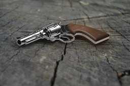 �¶�������357Magnum

