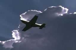 P51Ұ��