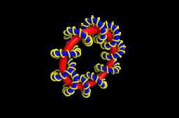 ����ɨ��